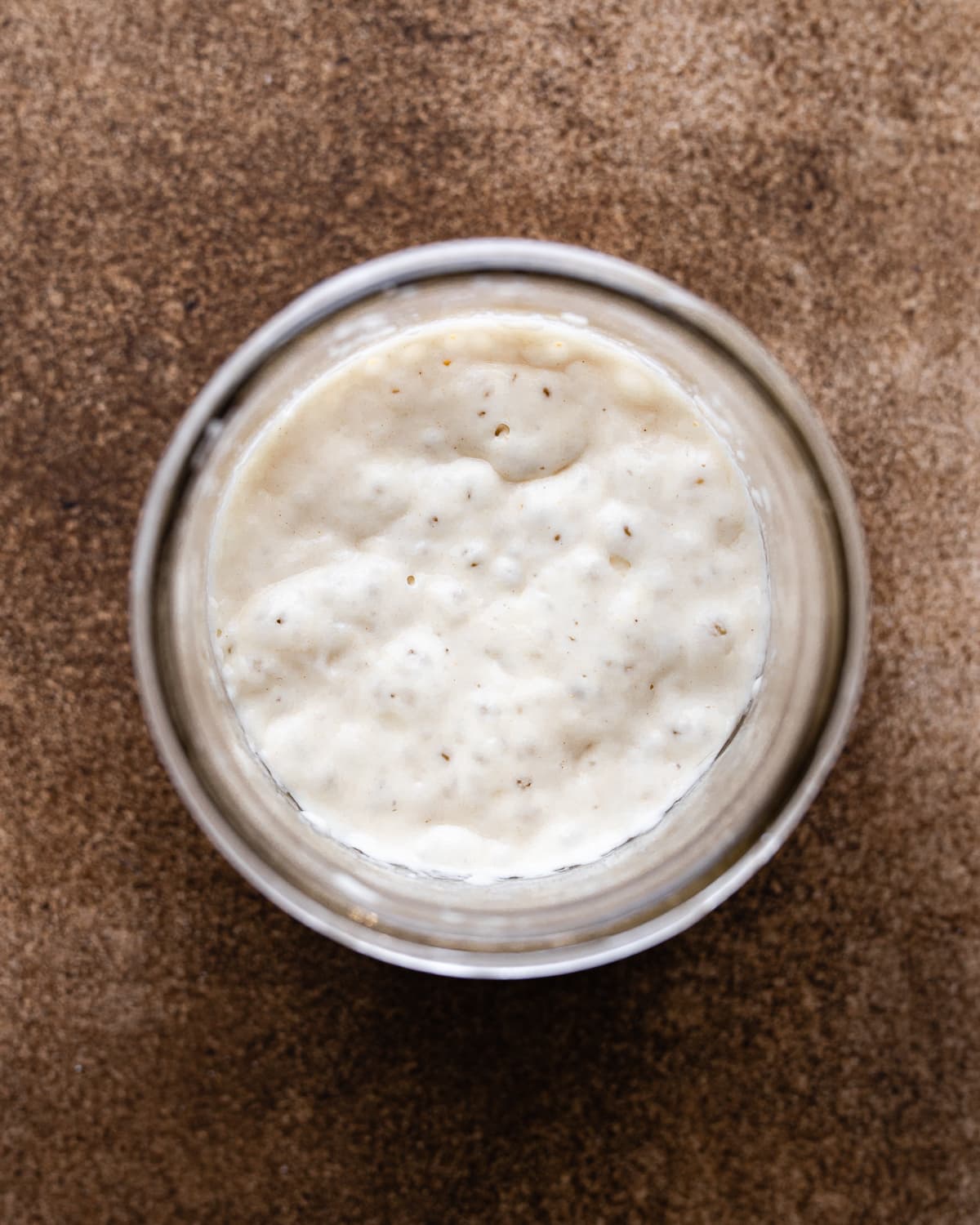 overhead photo of bubbly sourdough starter