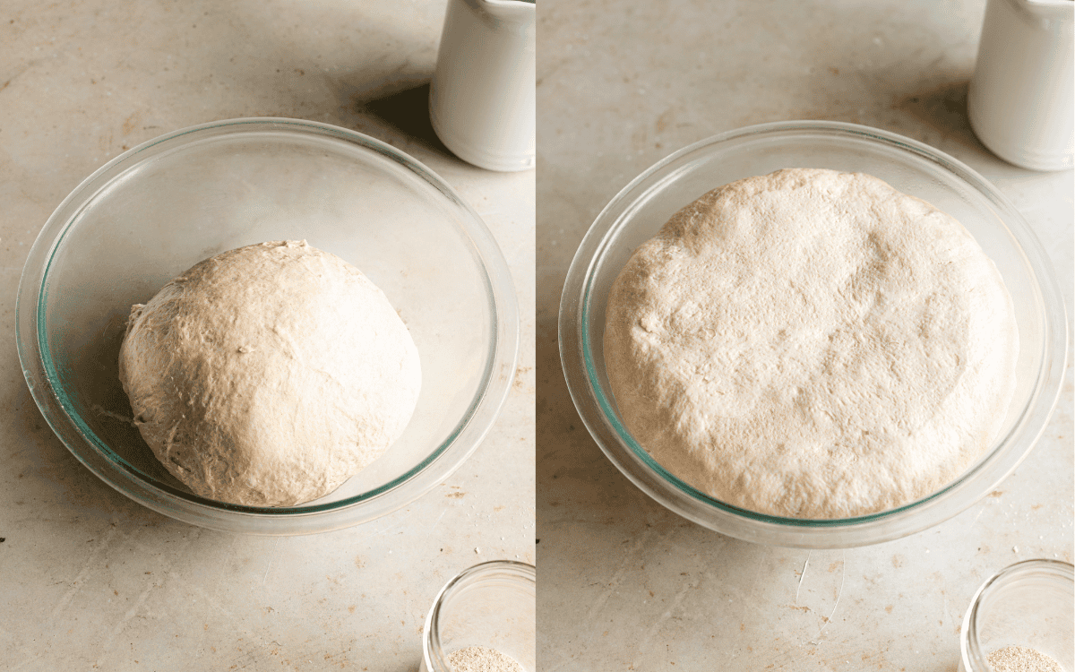 Dough in mixing bowl. 